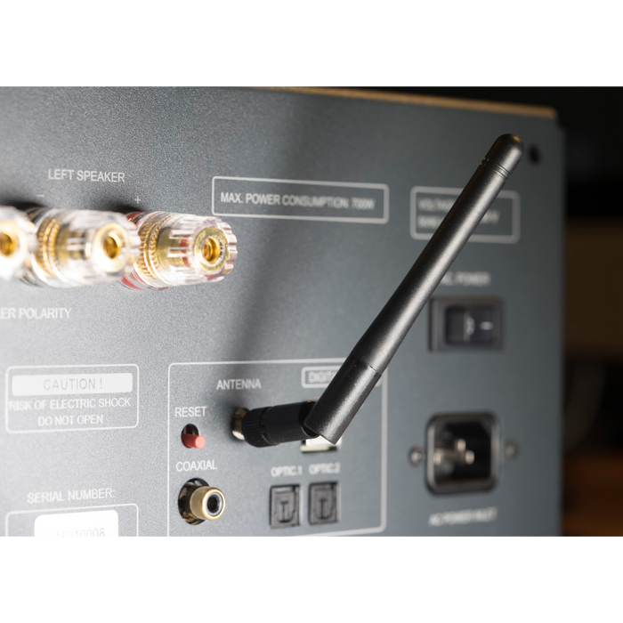 Copland - CSA-150 - Integrated Amplifier