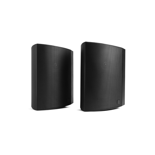 Definitive Technology - Dymension AW-650 - Outdoor Speakers