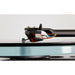 Rega - Nd3 - Moving Magnet Cartridge